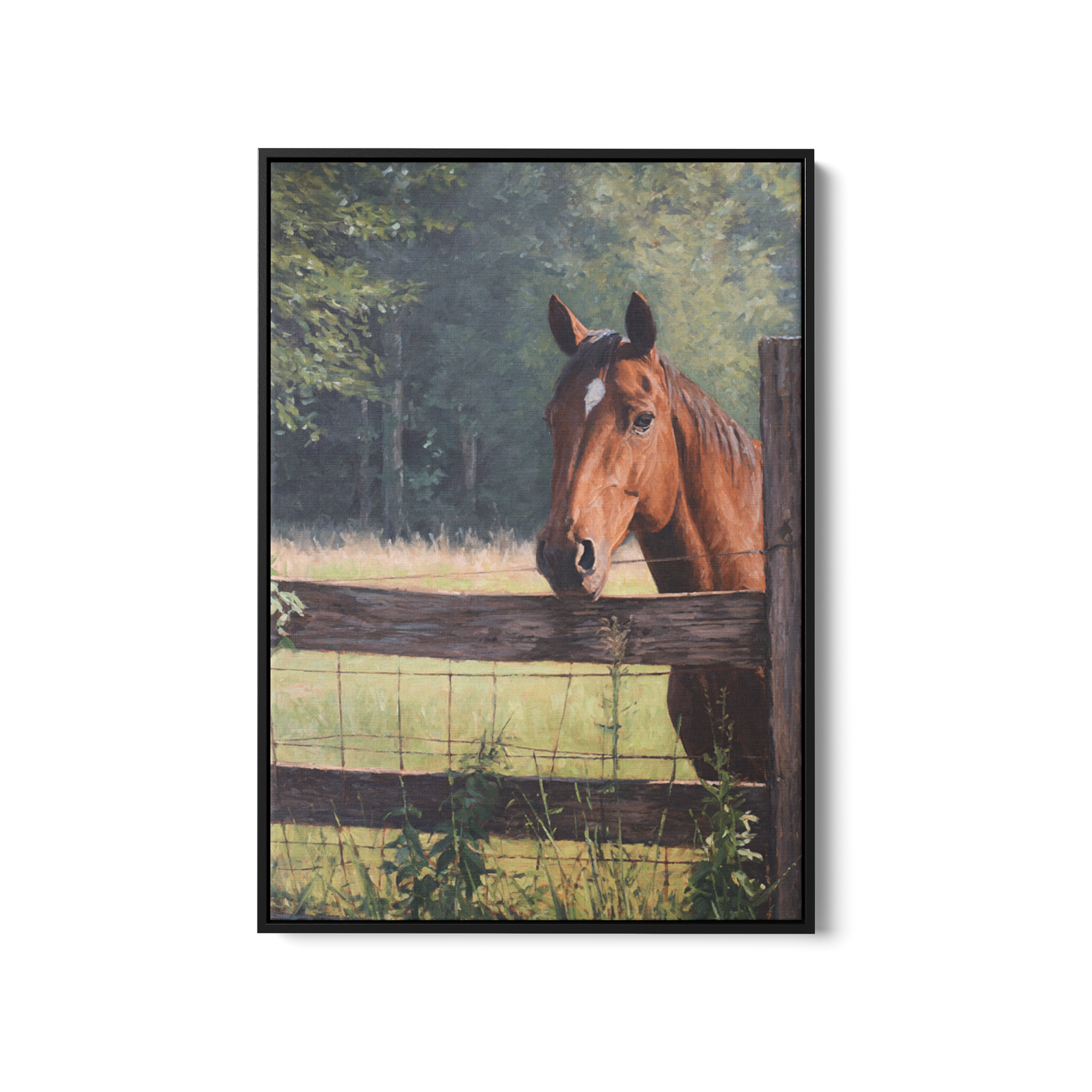 Pasture
