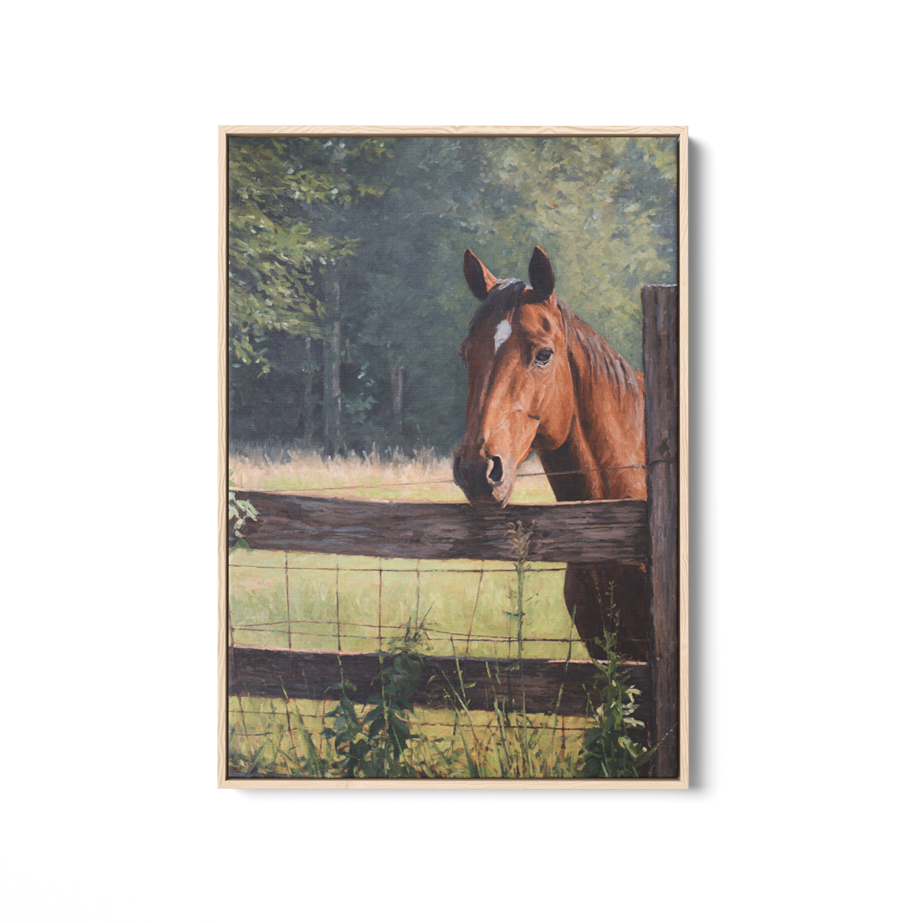 Pasture