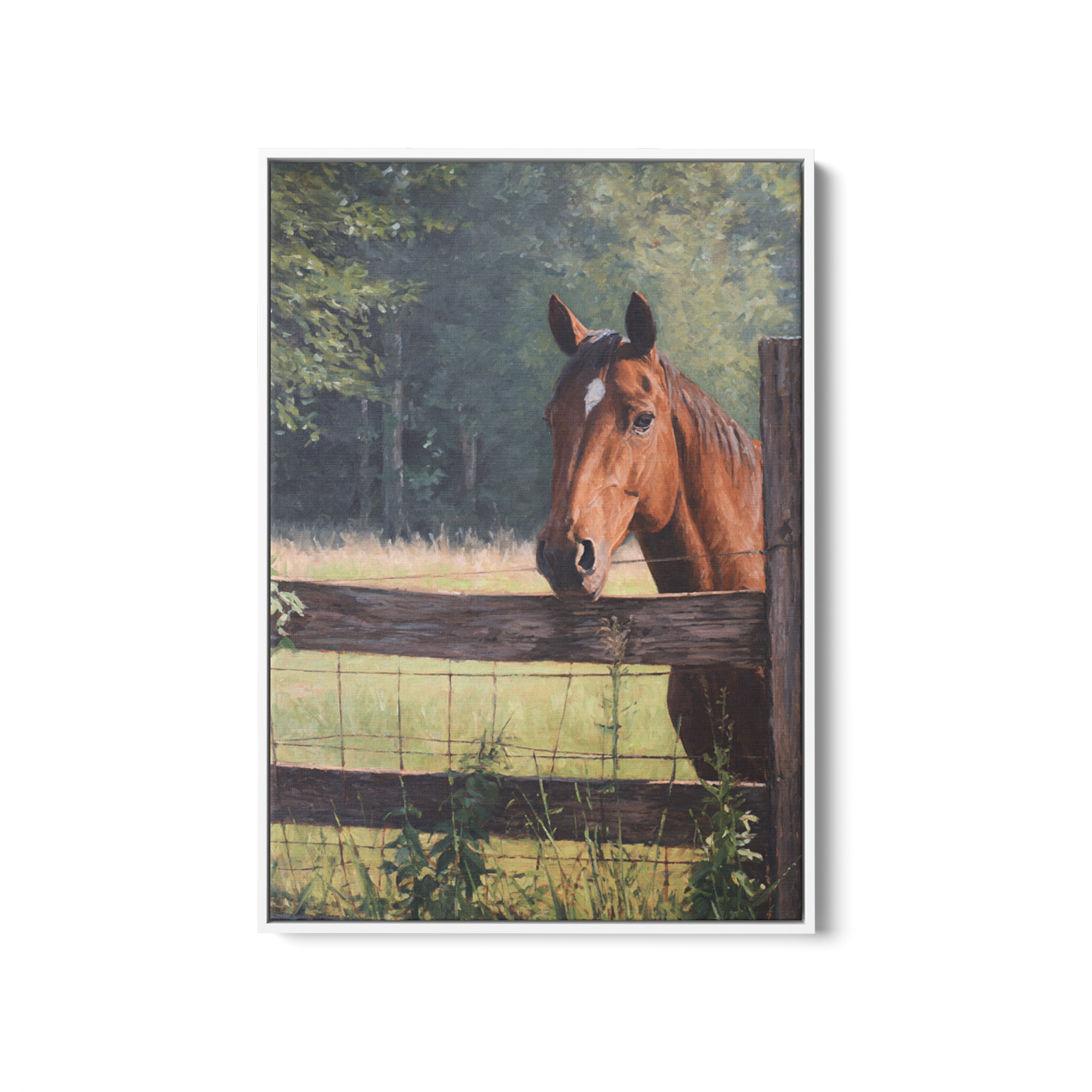Pasture