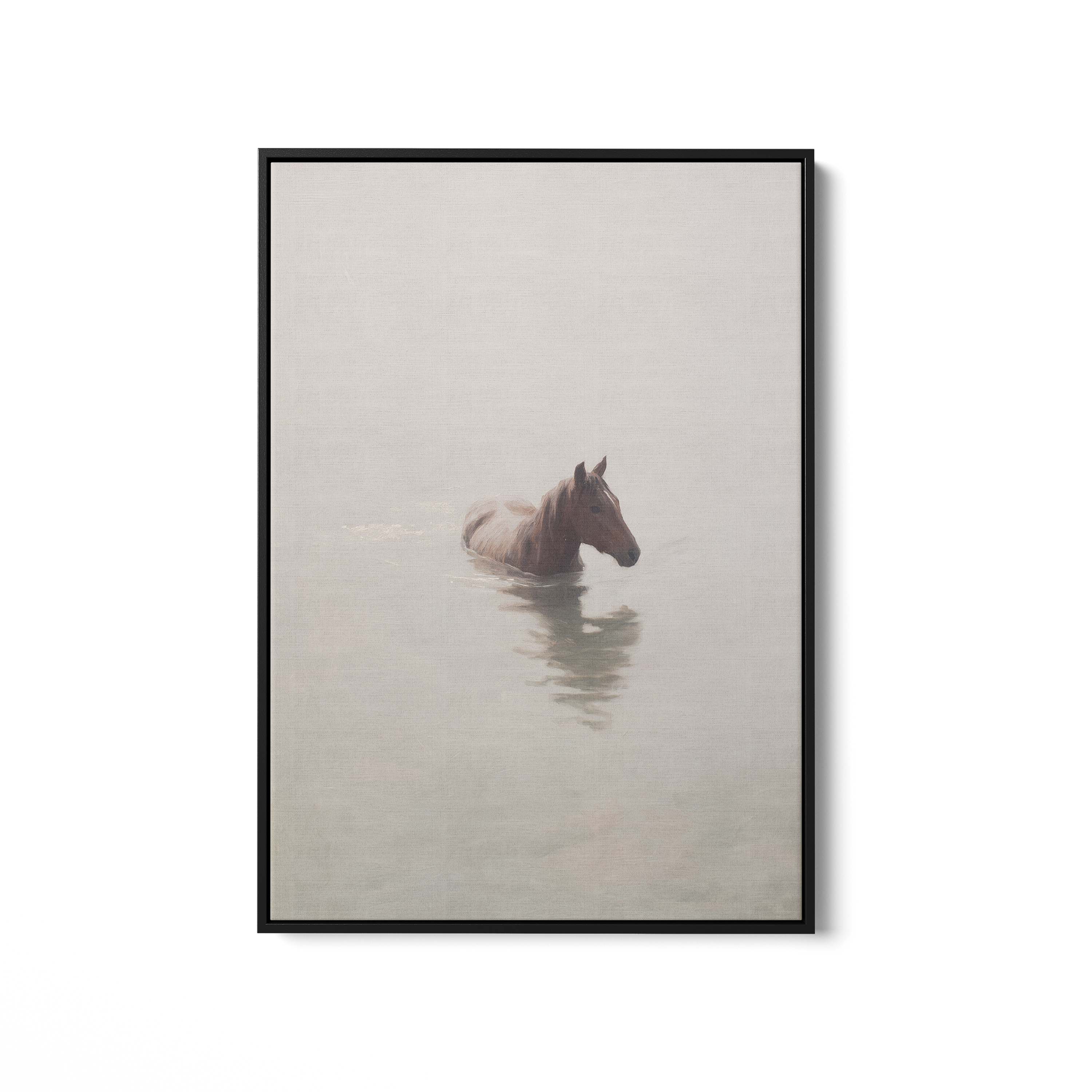 Lonely Foal