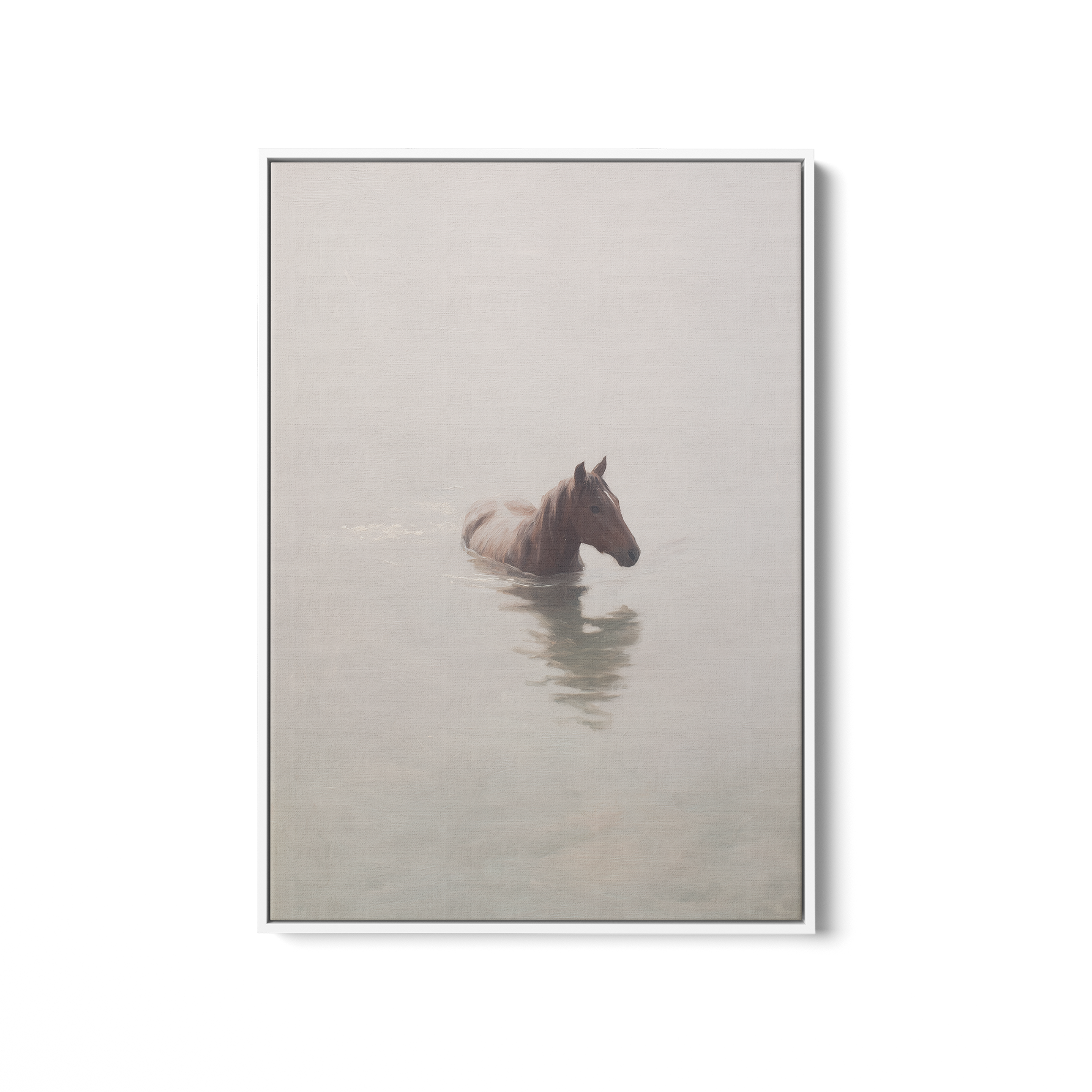 Lonely Foal