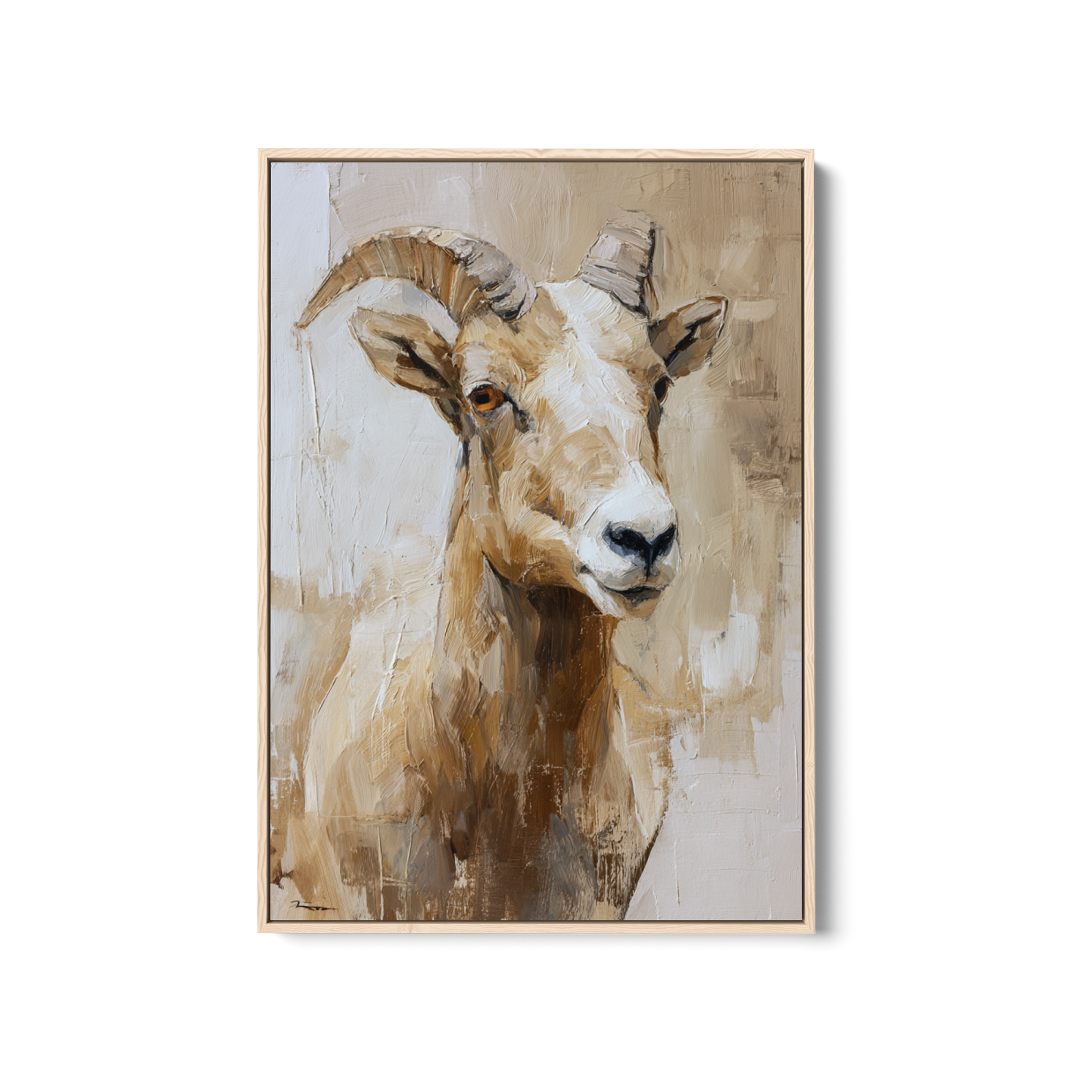 Bighorn Sheep