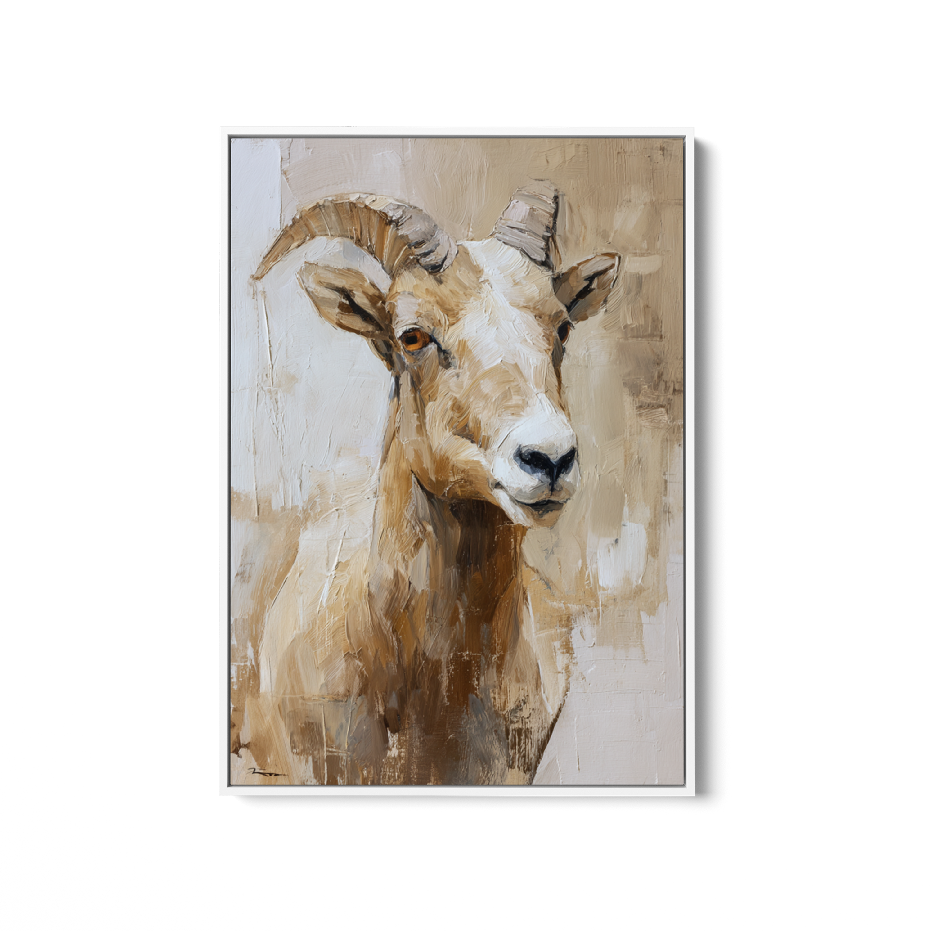 Bighorn Sheep