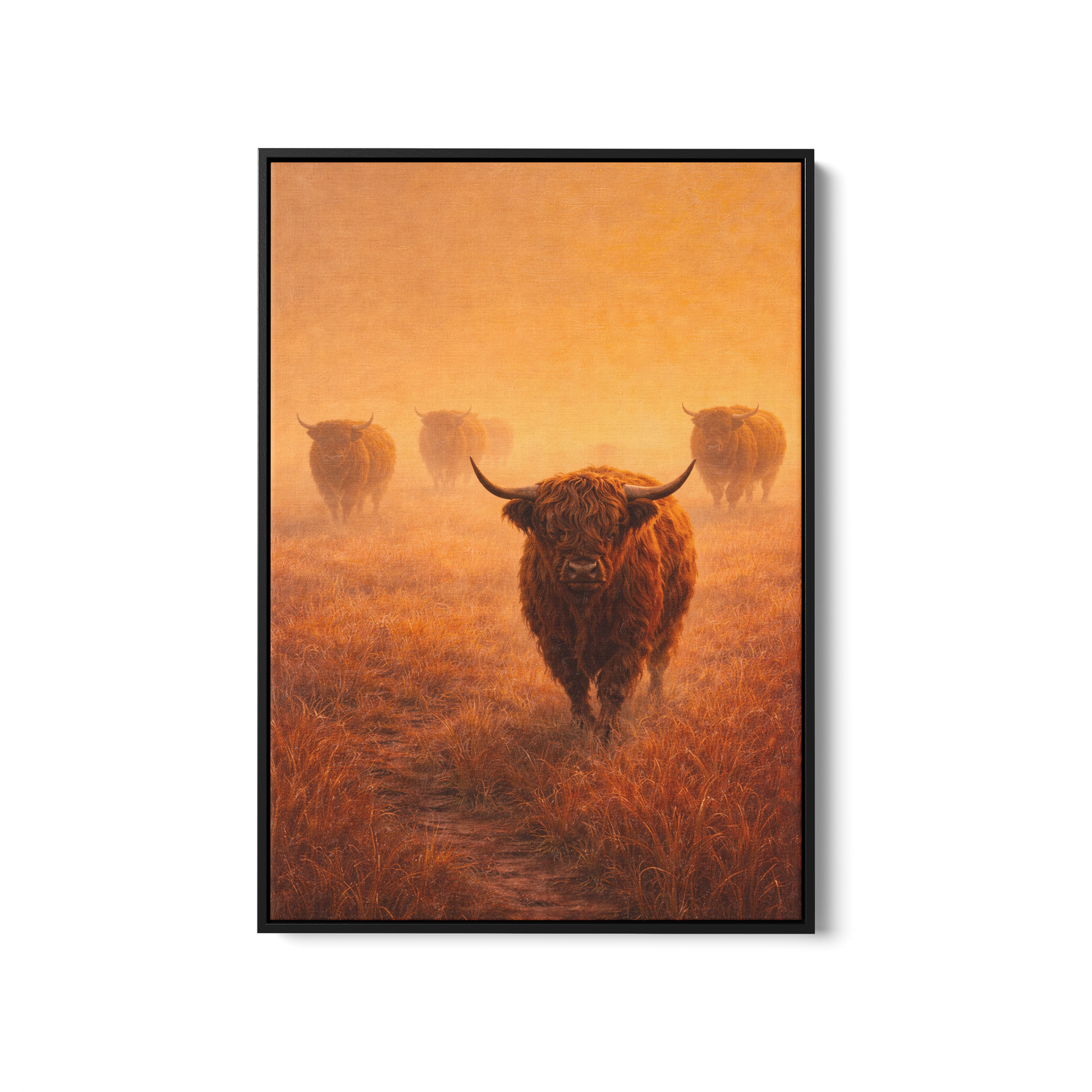 Highland Herd