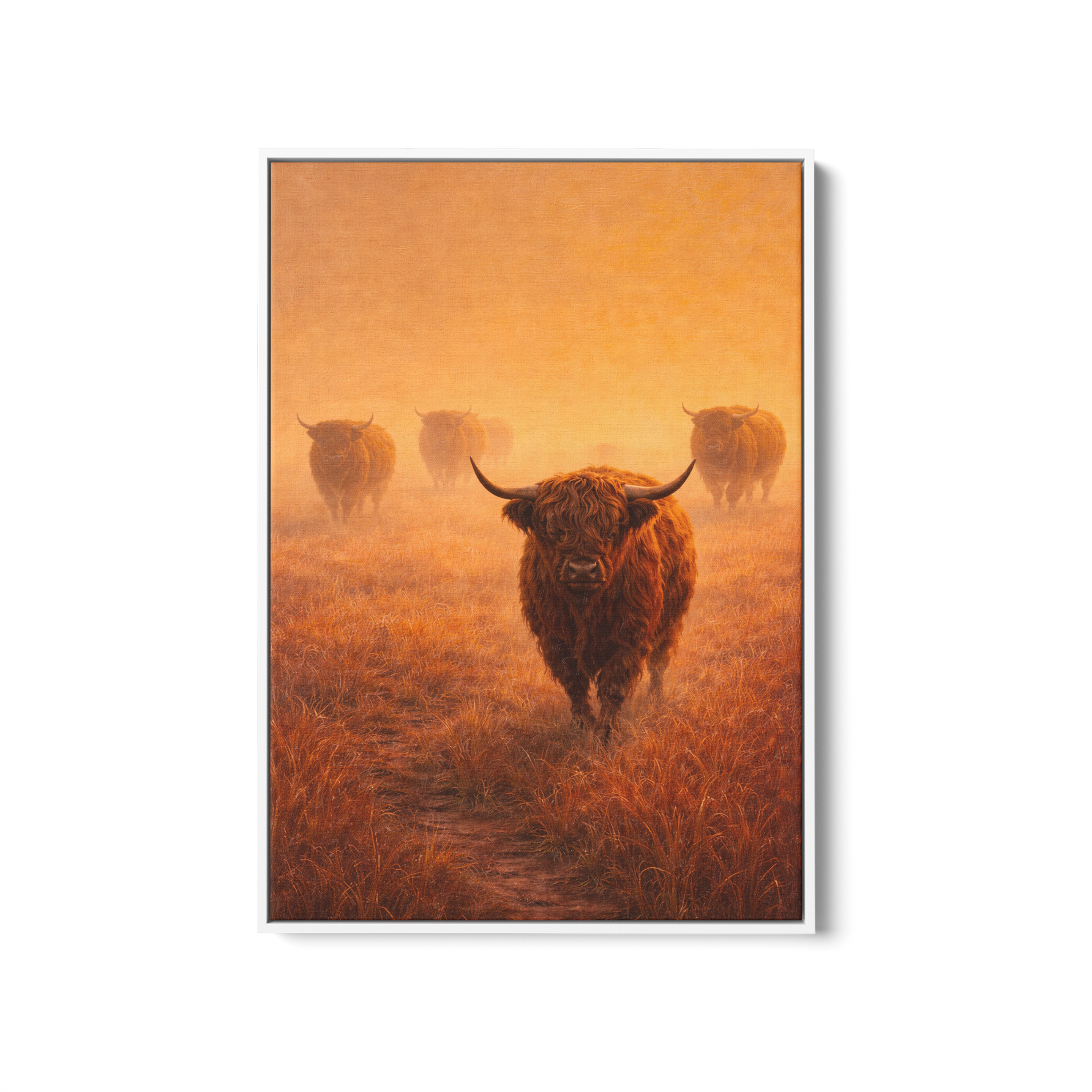 Highland Herd